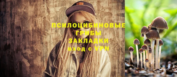 ГАЛЛЮЦИНОГЕННЫЕ ГРИБЫ Володарск