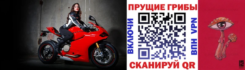 Псилоцибиновые грибы MAGIC MUSHROOMS  Купить где  Дигора 