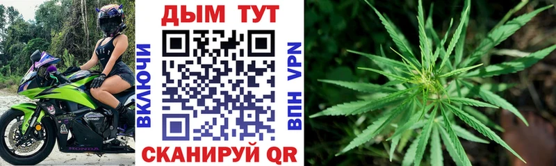 Купить где  Дигора  Бошки Шишки ГИДРОПОН 